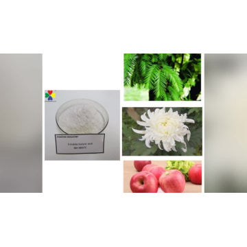 Regulador de crescimento vegetal Iba Indol-3-ácido butírico potássio Iba-K para venda